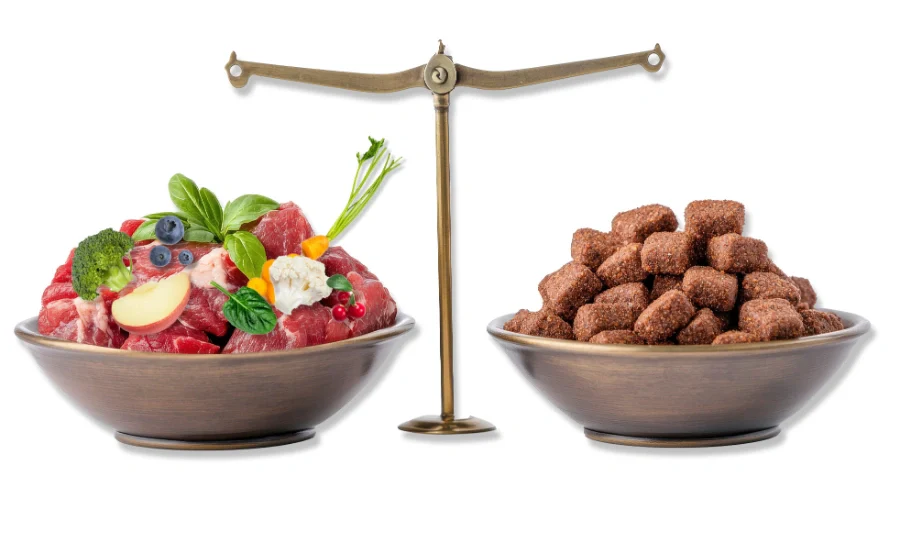 Mixed feeding: Rauwe voeding en brokken combineren