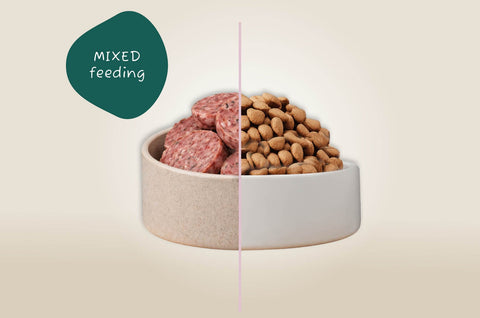 Mixed feeding: Rauwe voeding en brokken combineren