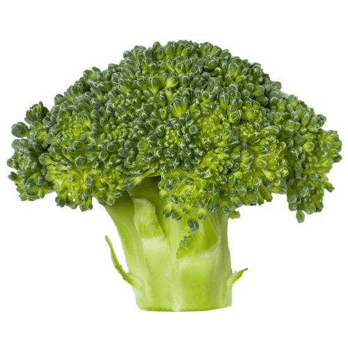 Broccoli