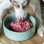 Beef allergy